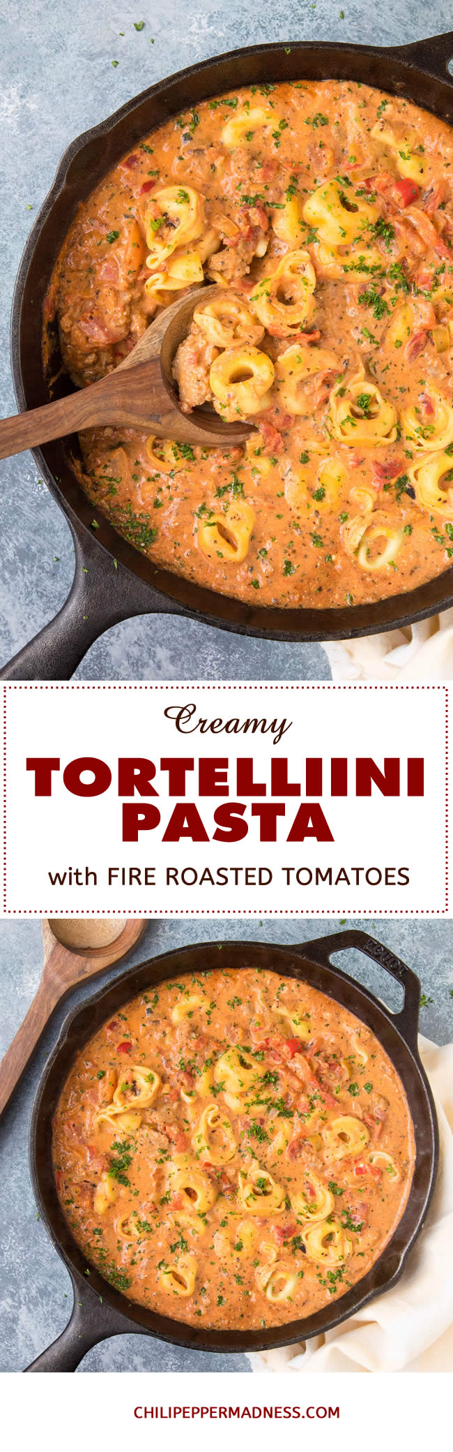 Creamy Tortellini Pasta with Fire Roasted Tomatoes - Recipe | ChiliPepperMadness.com #pasta #tortellini #EasyMeals #Dinner #SpicyFood