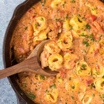 Creamy Tortellini Pasta with Fire Roasted Tomatoes - Recipe