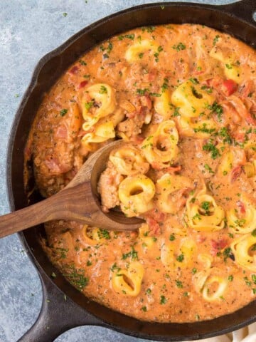 Creamy Tortellini Pasta with Fire Roasted Tomatoes Recipe