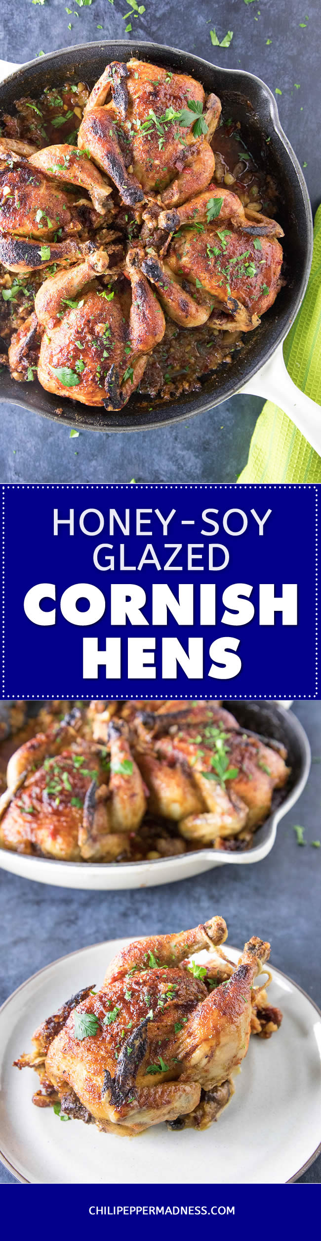 HoneySoy Glazed Cornish Hens with SausagePanko Stuffing Chili