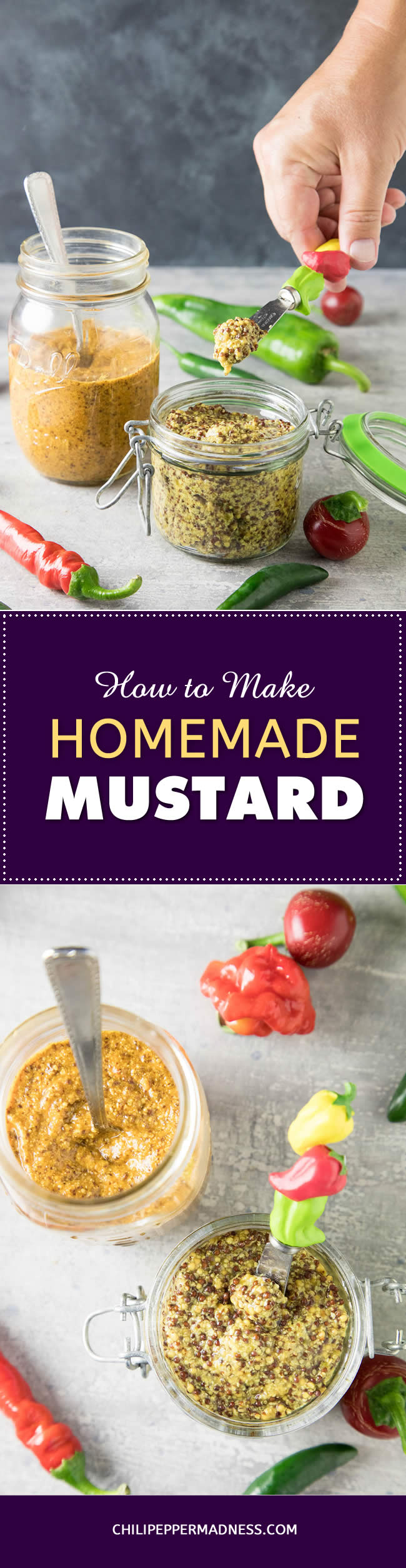 How to Make Homemade Mustard – the Basics - Recipe