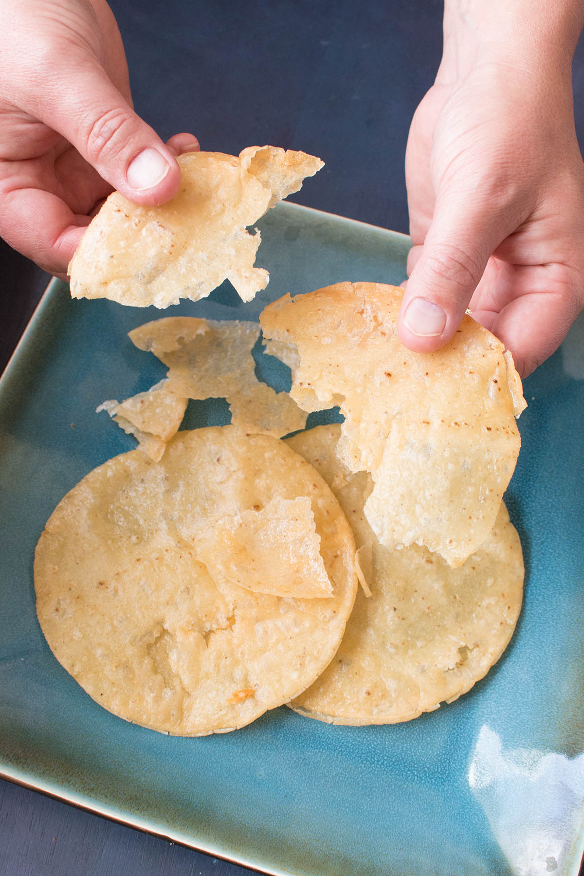 How to Make Homemade Crispy Tortilla Chips - Recipe