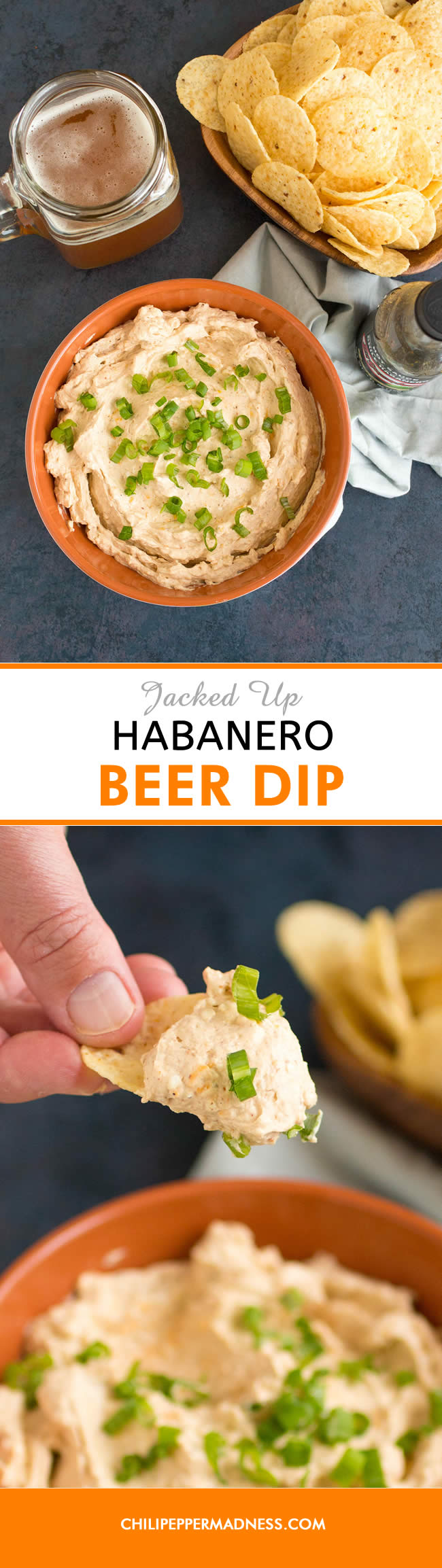 Jacked Up Habanero Beer Dip - Recipe