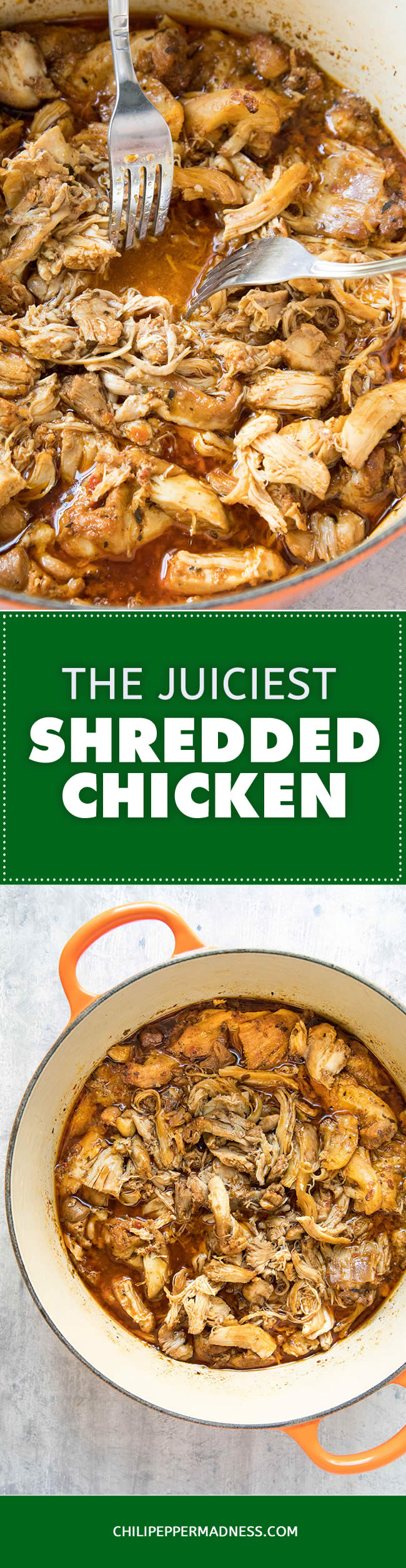 The Juiciest Shredded Chicken - Recipe