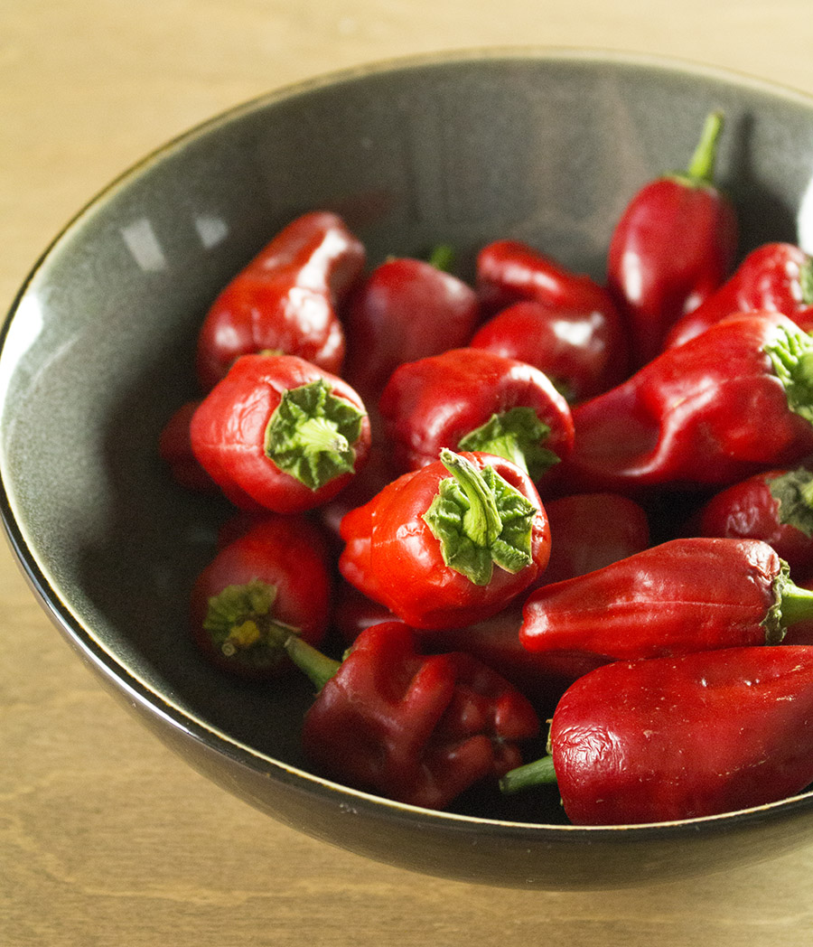 Gorgeous Paprika Chili Peppers