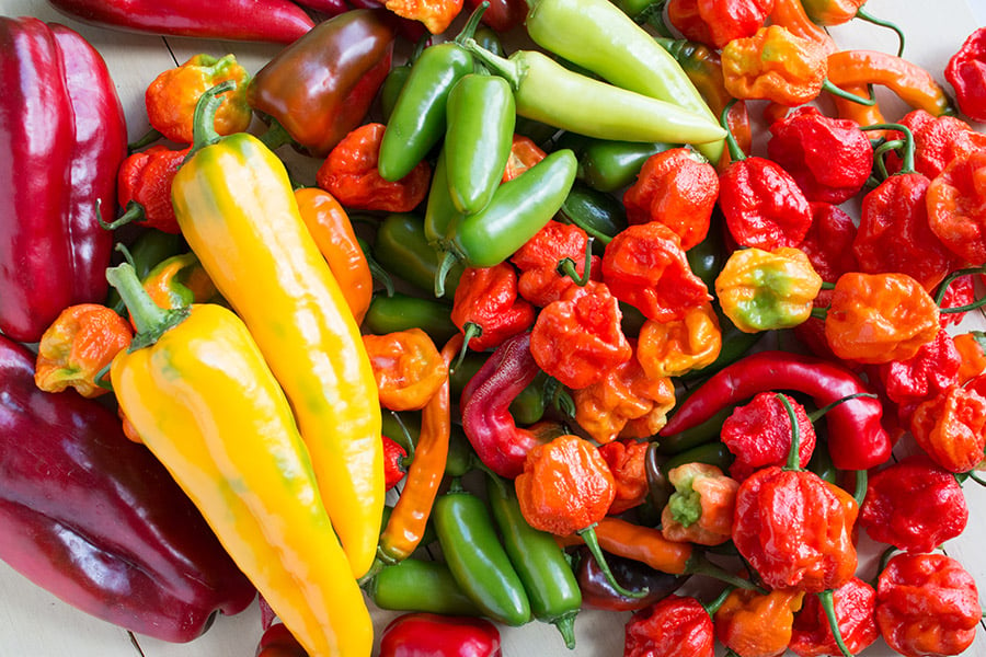 Growing Chili Peppers - Chili Peppers Love Water