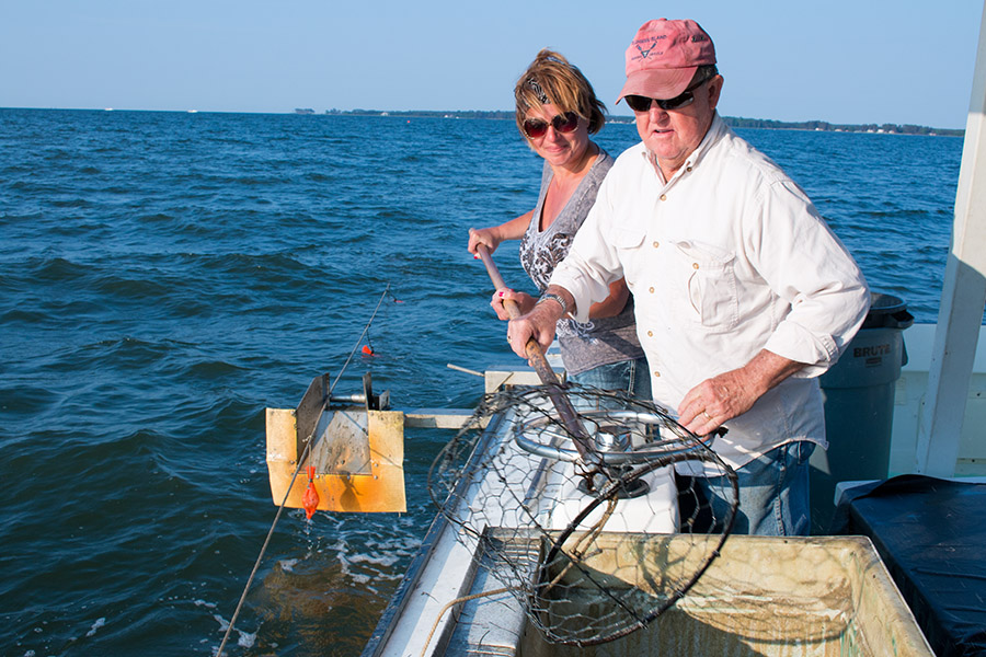 Pattycatching blue crab in the Chesapeake Bay