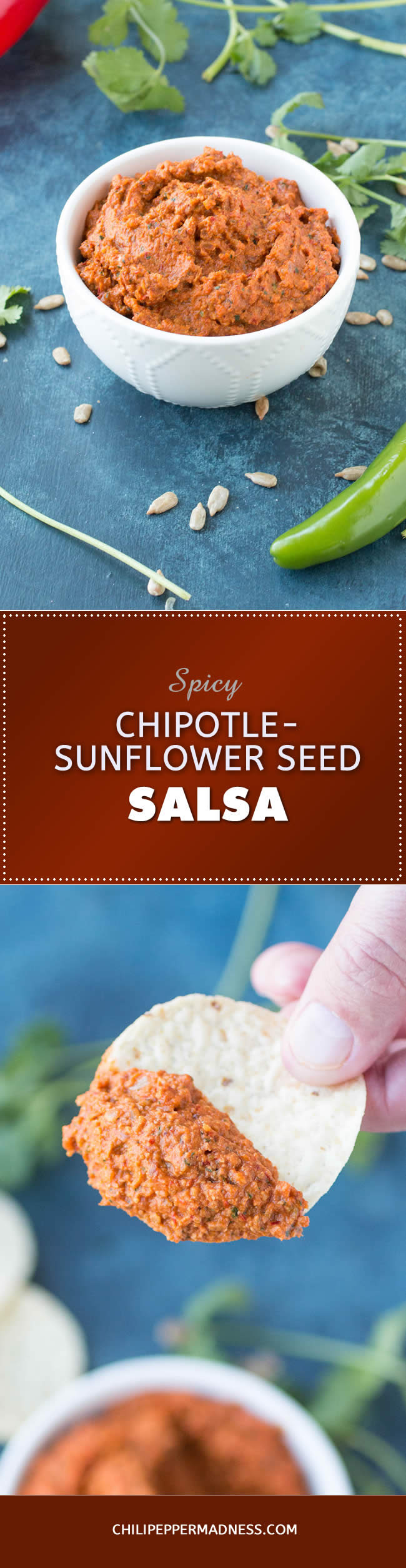 Spicy Chipotle Sunflower Seed Salsa Recipe Chili Pepper Madness