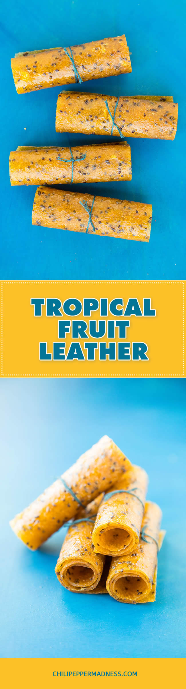 Tropical Fruit Leather/Fruit Rollups - Recipe | ChiliPepperMadness.com #homemadesnacks #homemadecandy #dehydrator #snacks