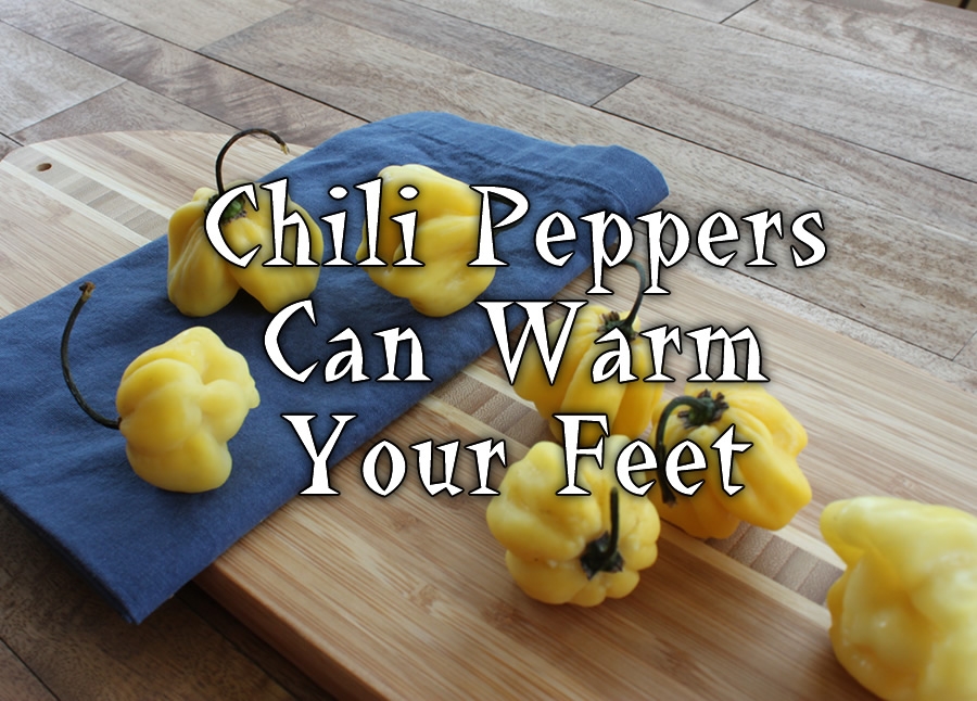 Chili Pepper Health Benefits Chili Pepper Madness