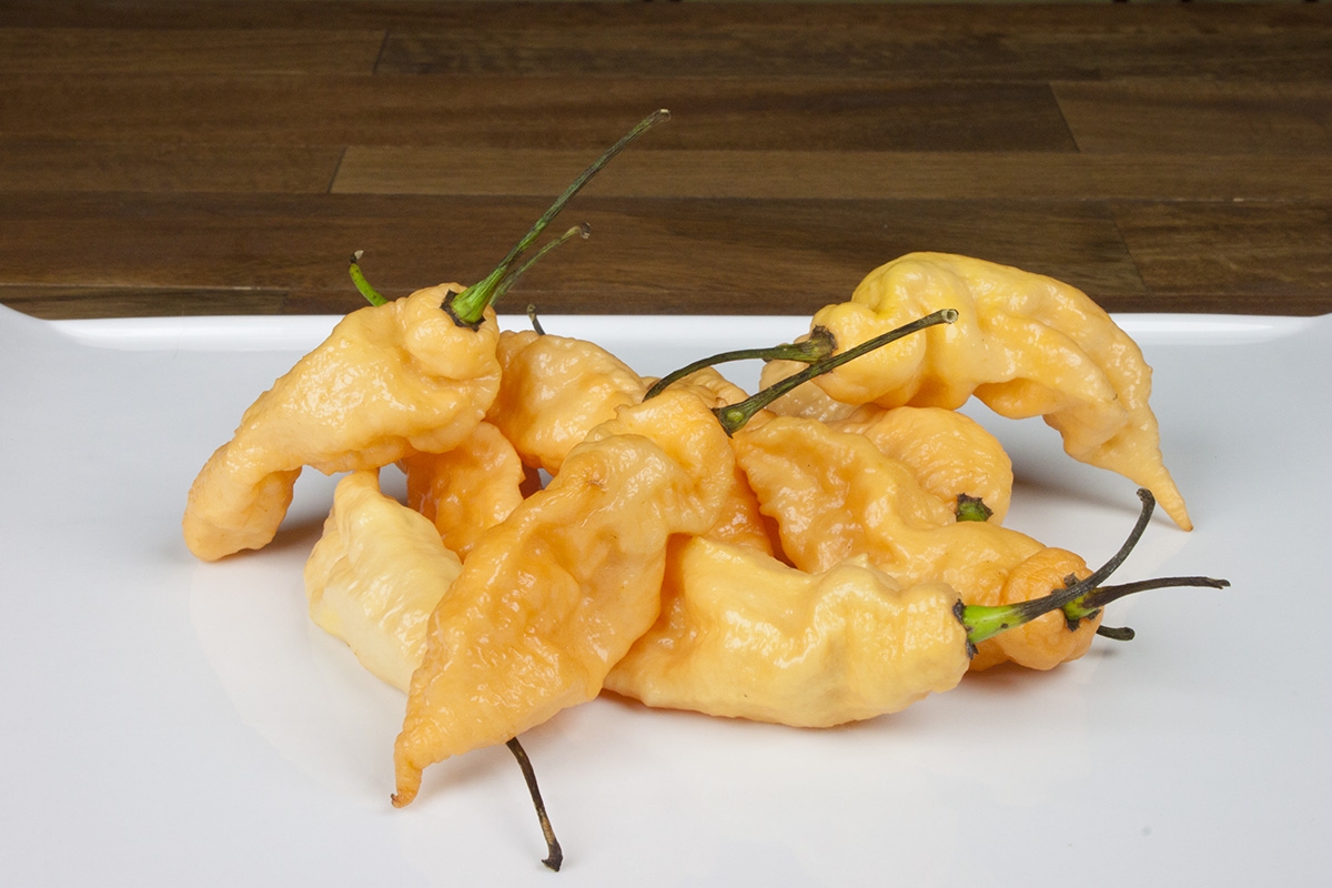 10 Tips for Cooking with Super Hot Chili Peppers Chili Pepper Madness