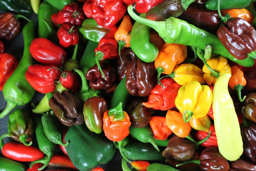 What Makes Chili Peppers Hot?