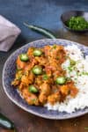 Chicken Vindaloo Recipe - A Spicy Indian Curry Dish