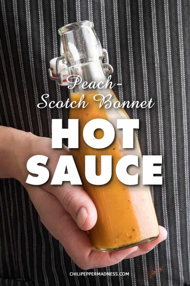 Peach-Scotch Bonnet Hot Sauce - A hot sauce recipe made with sweet peaches and fiery Scotch Bonnet chili peppers that you can drizzle over anything, though it’s particularly great with chicken or fish. | ChiliPepperMadness.com #HotSauce #HotSauceRecipe #ScotchBonnet #Spicy #Sauce #Peach