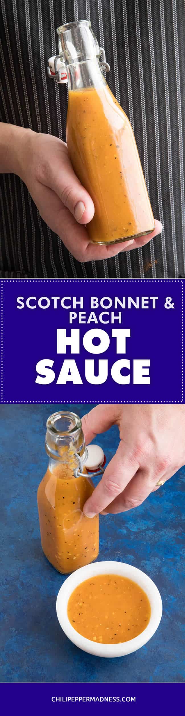 Bohemian Scotch Bonnet Spice Blend – Beach Shack Sauces