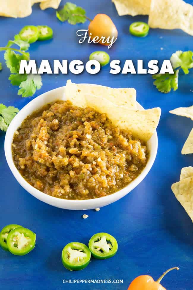 Fiery Mango Salsa | ChiliPepperMadness.com. A tasty mango salsa recipe made with sweet mangos and spicy chili peppers, including jalapenos, serranos, and habanero peppers. This is a cooked version of the salsa. It's the perfect appetizer or party food, and you can easily adjust it to your own preferred heat and spice level. #salsa #mango #spicyfood #spicy #appetizer #habanero #gameday #partyfood