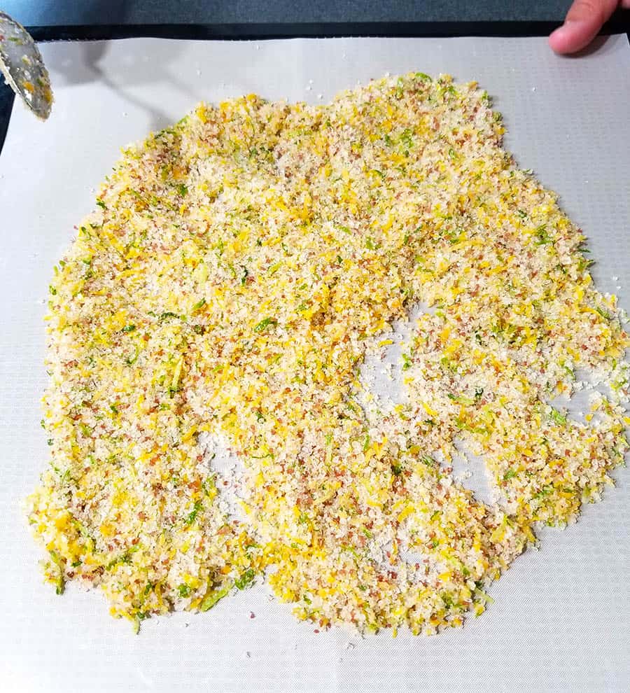 Drying the Citrus Lemon and Lime Salt in a dehydrator