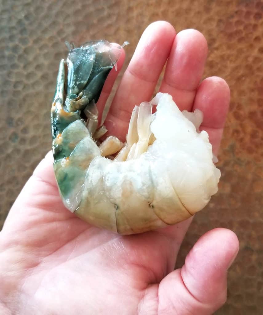 Colossal Grilled Shrimp with Harissa Marinade Chili Pepper Madness