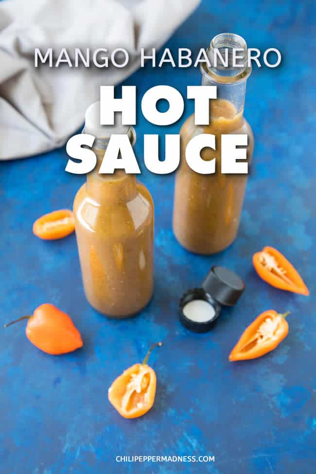 Mango-Habanero Hot Sauce - A spicy hot sauce recipe made with sweet mangos and fiery habanero peppers and other peppers. It’s time to spice things up! #HotSauce #Habanero #Recipe #SpicyFood
