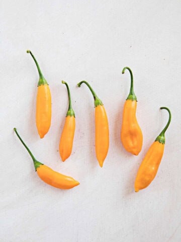 About the Aji Cito Chili Peppers