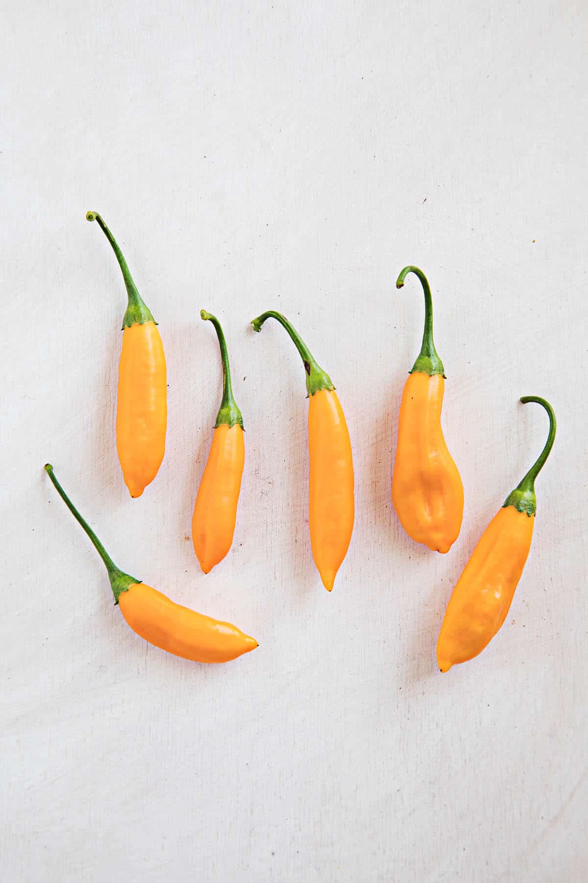 About the Aji Cito Chili Peppers