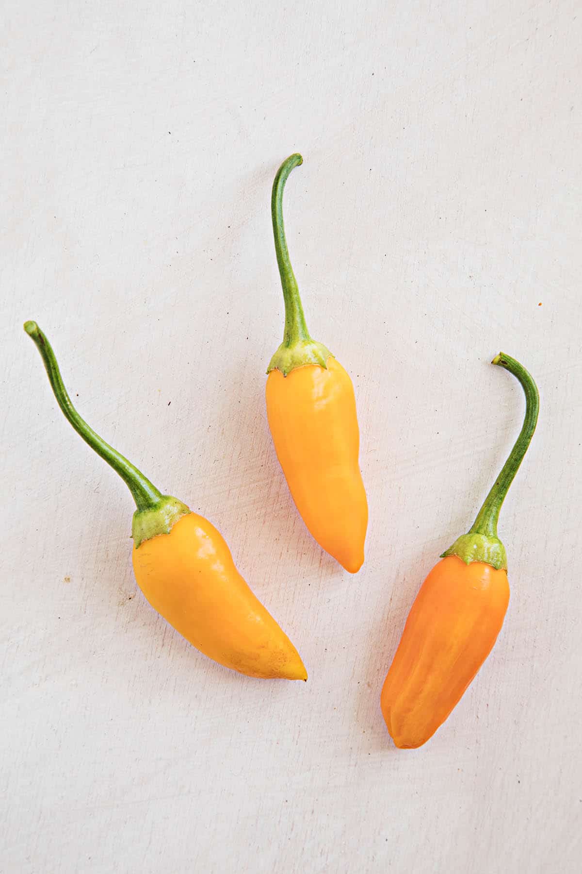 Aji Habanero Chili Peppers