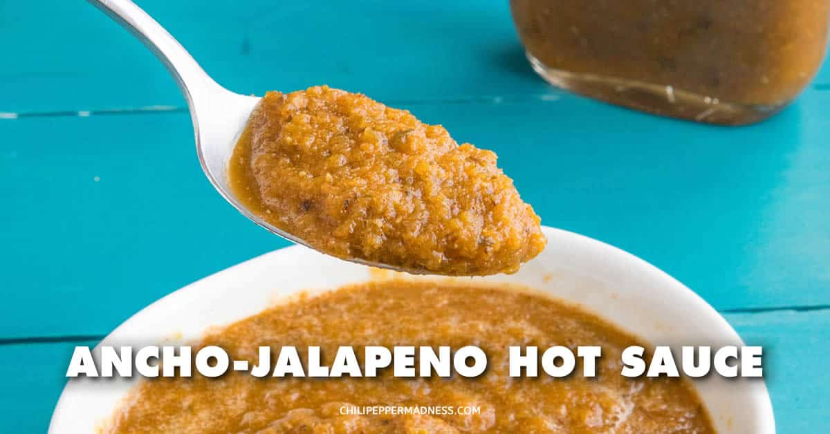 AnchoJalapeno Hot Sauce Recipe Chili Pepper Madness