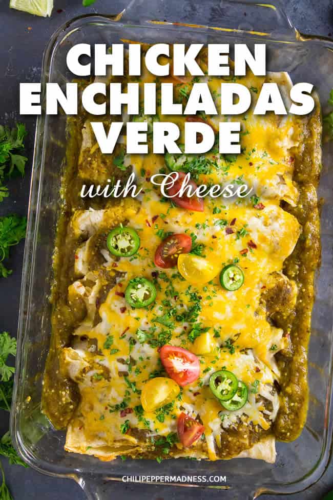 Chicken Enchiladas Verde with Cheese - This recipe for chicken enchiladas verde is made with a classic homemade green enchilada sauce, tender, juicy pulled chicken, then smothered in melty cheese and baked to perfection. This is the best chicken enchiladas verde dish ever. Perfect for dinner and the leftovers are even better. #Enchiladas #Verde #ChickenEnchiladas #MexicanFood #MexicanCuisine #Dinner #Chicken #Spicy