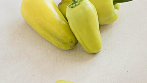 Gypsy Hybrid Chili Peppers