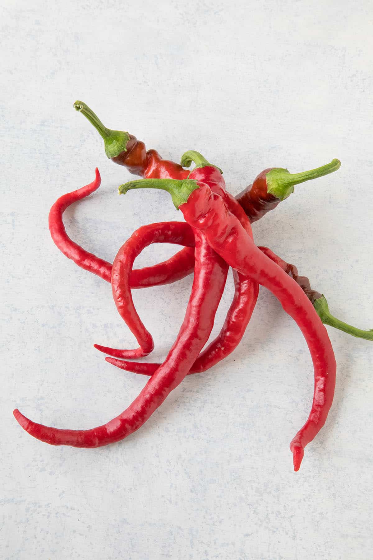 A bunch of the Aji Sivri Chili Peppers.