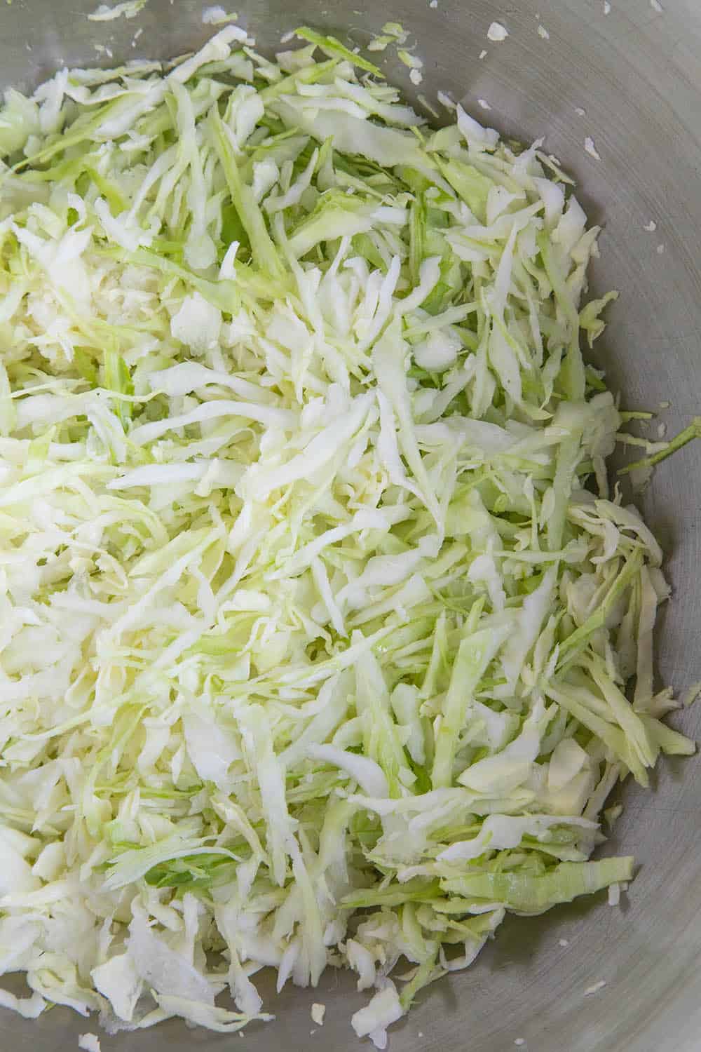 Shredded Cabbage