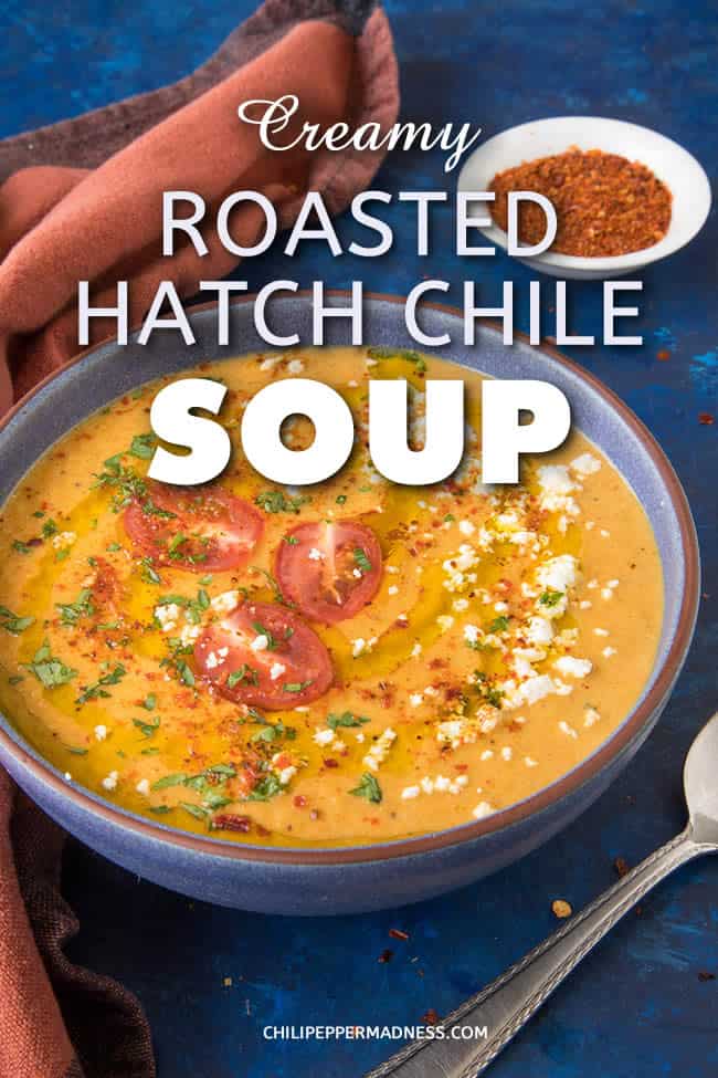 Creamy Roasted Hatch Chile Soup - This soup is silky smooth and creamy and hugely flavorful, made primarily with roasted red Hatch chile peppers and the perfect balance of seasonings. It is both rich and light and ready to make you happy. #HatchPeppers #Hatch #HatchChiles #Soup #Dinner #Appetizer