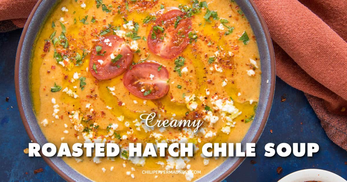 Creamy Roasted Hatch Chile Soup - Recipe - Chili Pepper Madness