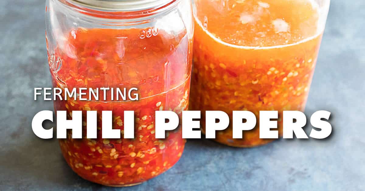 Fermenting Chili Peppers