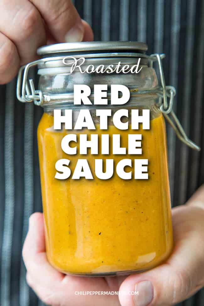 Roasted Red Chili Sauce - This roasted red chili sauce recipe is made with fresh, not dried, roasted Hatch chile peppers from New Mexico. It is thick and slightly creamy and ideal for many different meals. You can make it as spicy as you want it. #Hatch #HatchChile #Sauce #SauceRecipe #Spicy