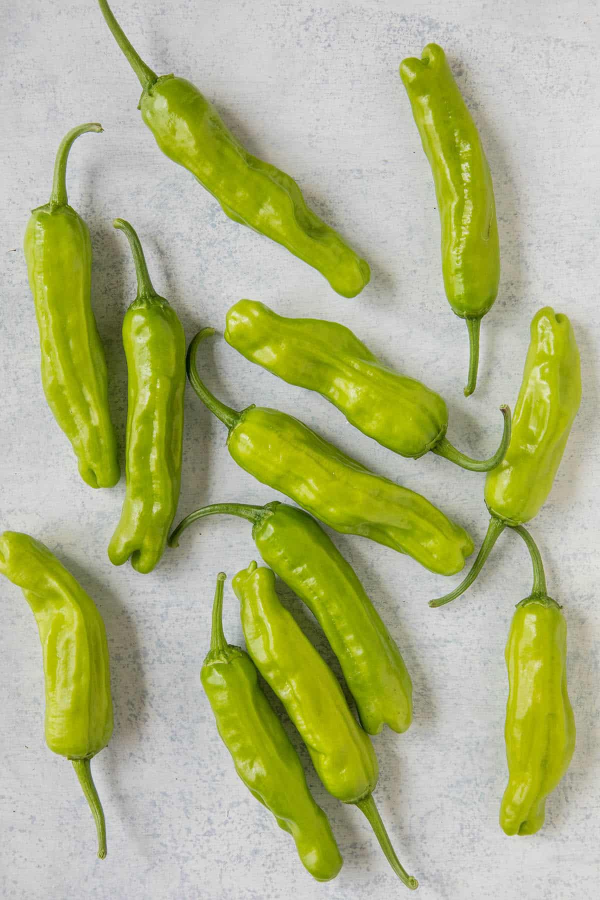 Shishito Peppers: All About Them - Chili Pepper Madness