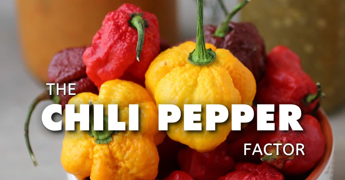 The Chili Pepper Factor