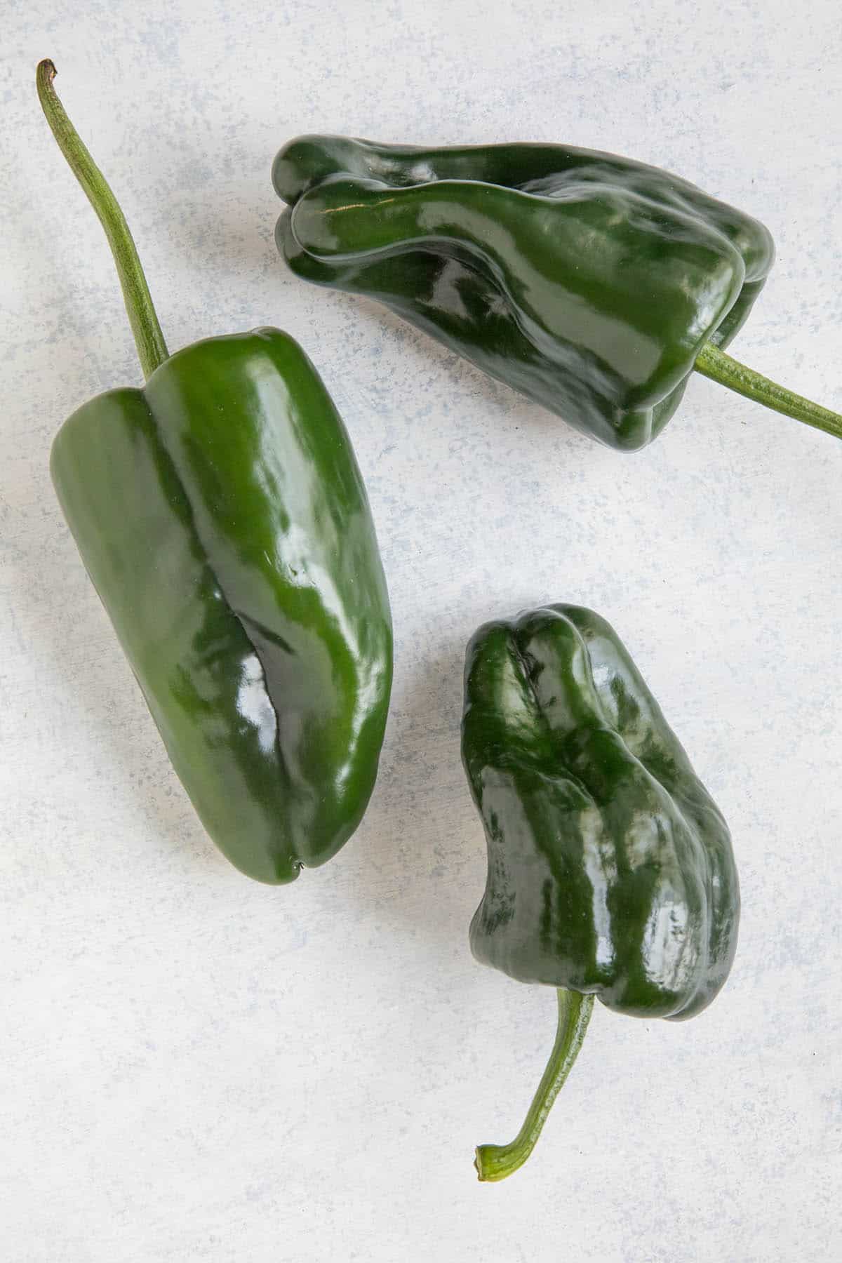 TiburonHybrid Chili Peppera - Poblano Type