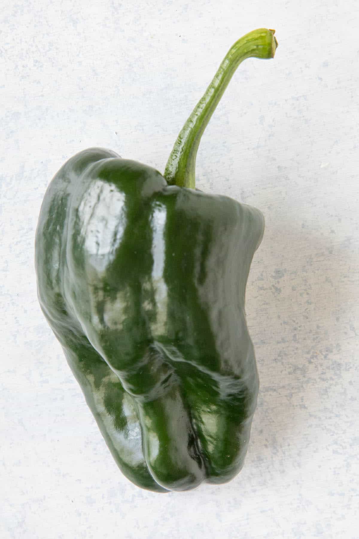 TiburonHybrid Chili Pepper - Poblano Type