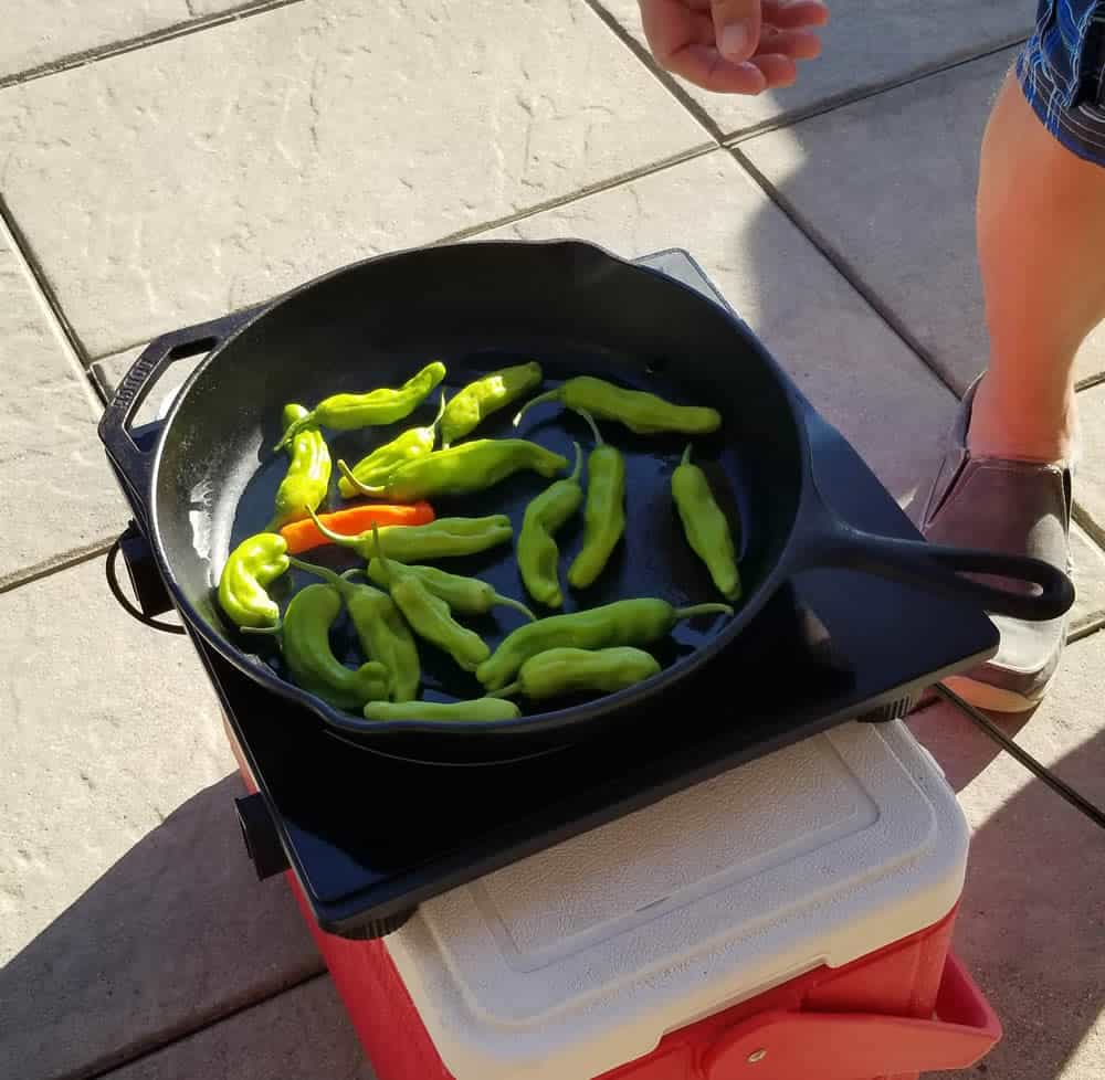 Blistering Shishito peppers by the pool in my induction cook top.