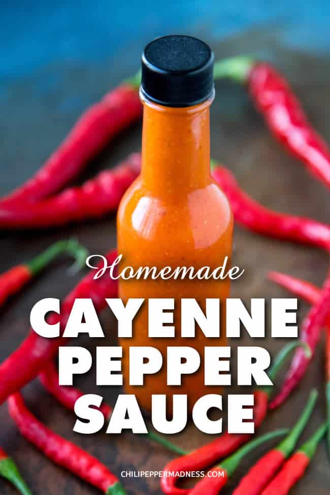 A recipe to make your own homemade cayenne pepper sauce in your own kitchen, with store bought or garden grown cayenne peppers, garlic, vinegar and salt. It's super easy and super flavorful. #CayenneSauce #HotSauce #Cayenne #Condiment #Spicy