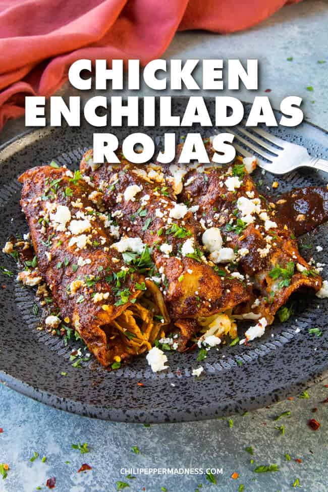 Chicken Enchiladas Rojas - A recipe for authentic chicken enchiladas rojas, made with juicy shredded chicken wrapped in corn tortillas, lots of cheese, and smothered in a hugely flavorful homemade red enchilada sauce, topped with crumbled cheese. This is the best I\'ve ever had. #MexicanCuisine #MexicanFood #CincodeMayo #Enchiladas #Dinner #Spicy