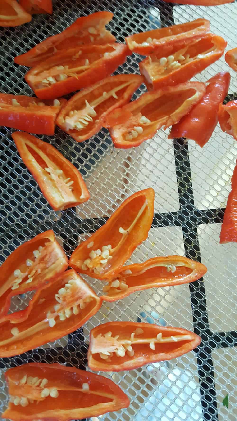 Sliced ghost peppers, ready to dehydrate.