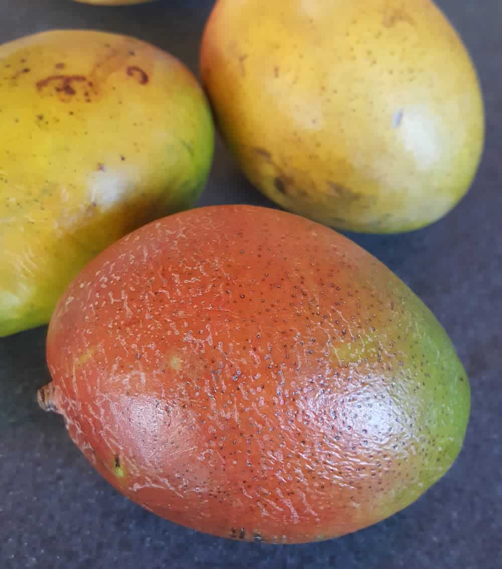 Fresh mangoes