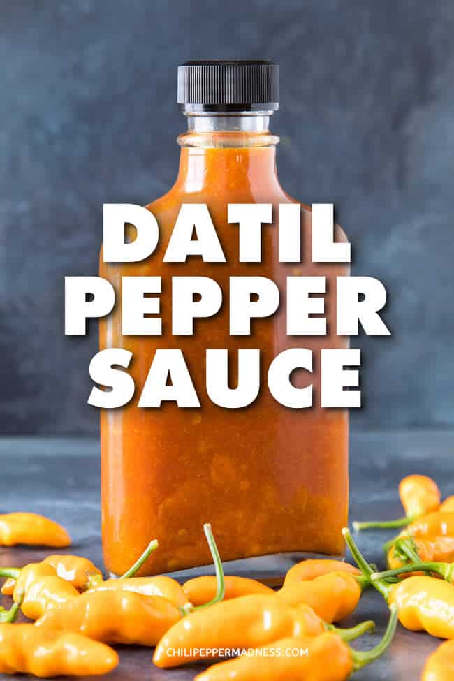 Datil Pepper Sauce - A flavorful hot sauce recipe made with fiery datil peppers, tomato paste, vinegar and honey, with a few extra spices tossed in for flavor. This might be your new favorite hot sauce! #HotSauce #Sauce #Spicy #Datil