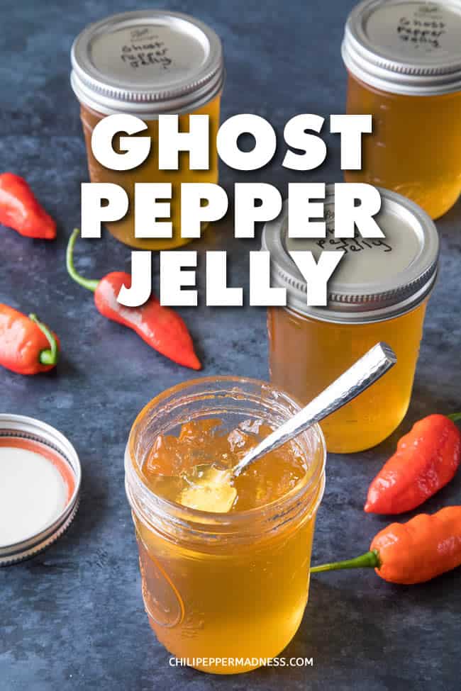 Ghost Pepper Jelly Recipe Chili Pepper Madness