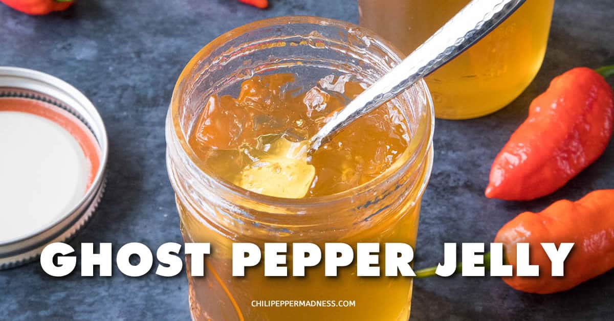 Ghost Pepper Jelly Recipe - Chili Pepper Madness