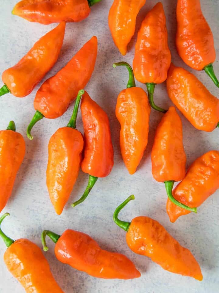 Ghost Peppers