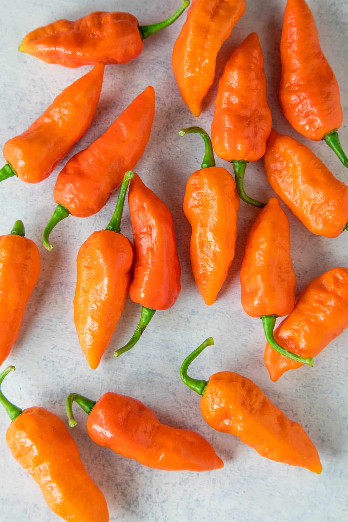 Ghost Peppers