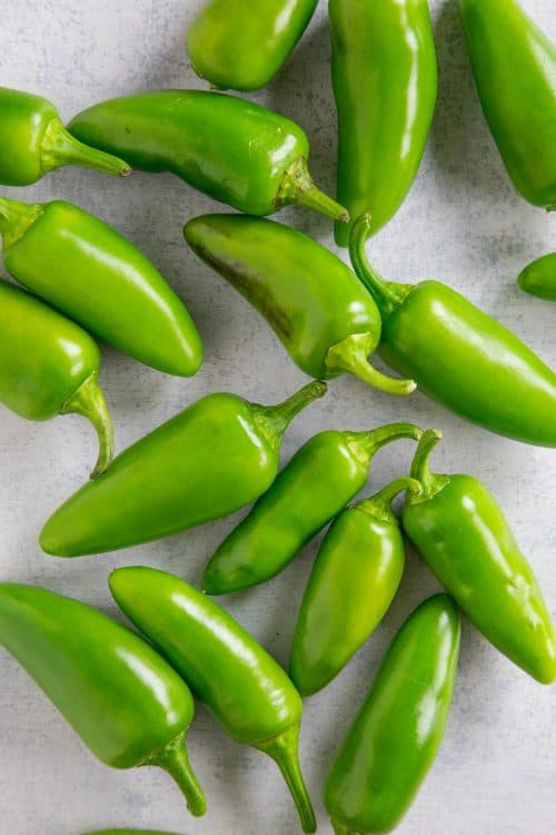 Jalapeno Peppers All About Them Chili Pepper Madness